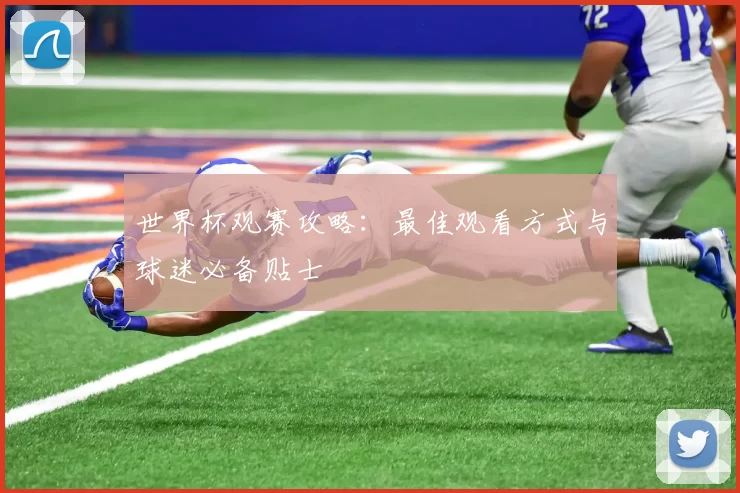 世界杯观赛攻略：最佳观看方式与球迷必备贴士
