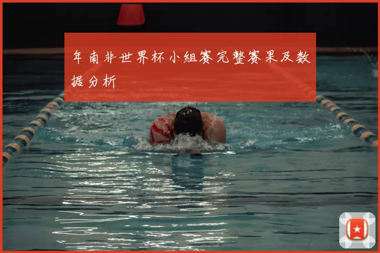 年南非世界杯小组赛完整赛果及数据分析