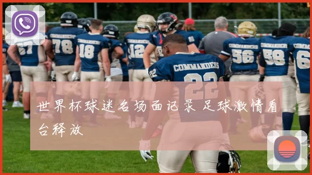 世界杯球迷名场面记录 足球激情看台释放