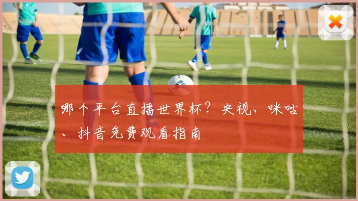 哪个平台直播世界杯？央视、咪咕、抖音免费观看指南