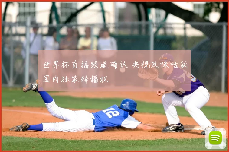 世界杯直播频道确认 央视及咪咕获国内独家转播权