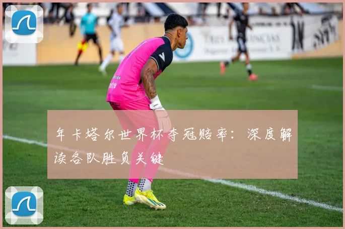 年卡塔尔世界杯夺冠赔率：深度解读各队胜负关键