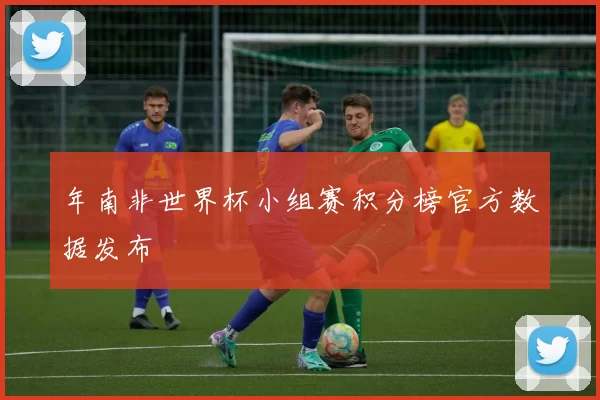年南非世界杯小组赛积分榜官方数据发布