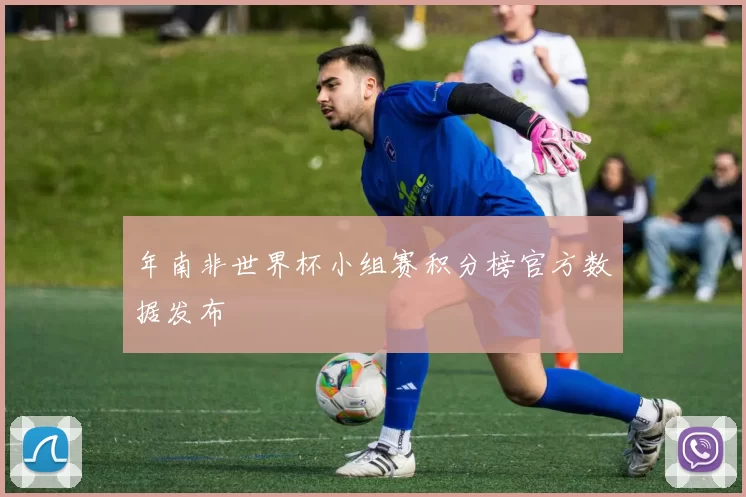 年南非世界杯小组赛积分榜官方数据发布
