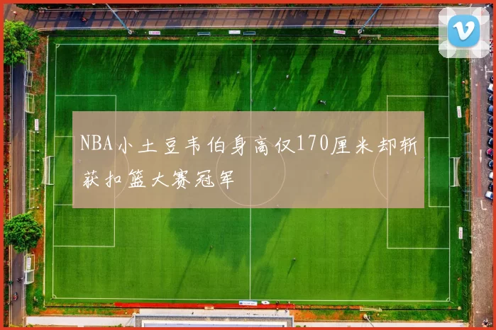 NBA小土豆韦伯身高仅170厘米却斩获扣篮大赛冠军