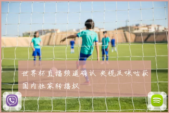 世界杯直播频道确认 央视及咪咕获国内独家转播权