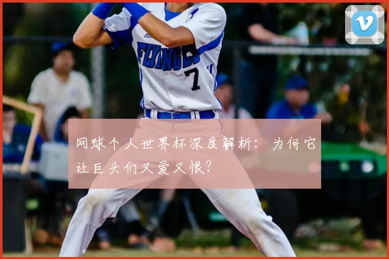 网球个人世界杯深度解析：为何它让巨头们又爱又恨？