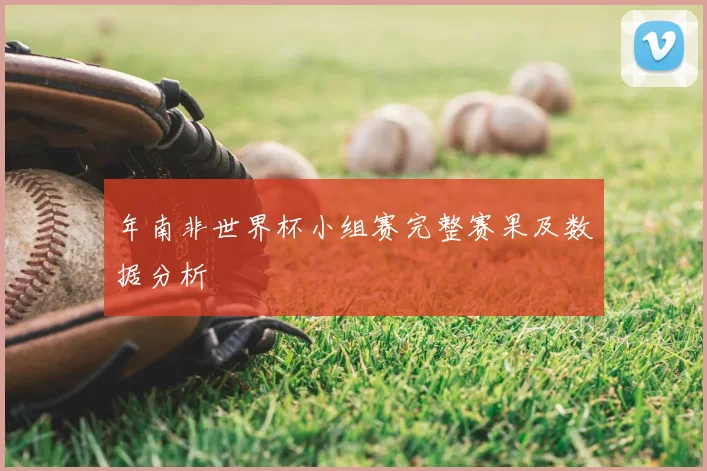 年南非世界杯小组赛完整赛果及数据分析