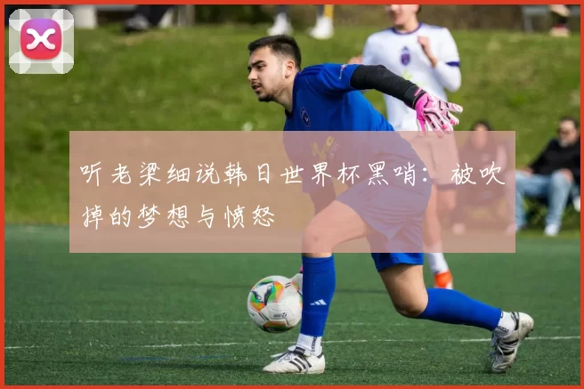 听老梁细说韩日世界杯黑哨：被吹掉的梦想与愤怒