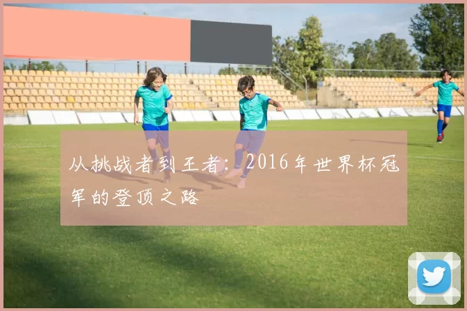 从挑战者到王者：2016年世界杯冠军的登顶之路